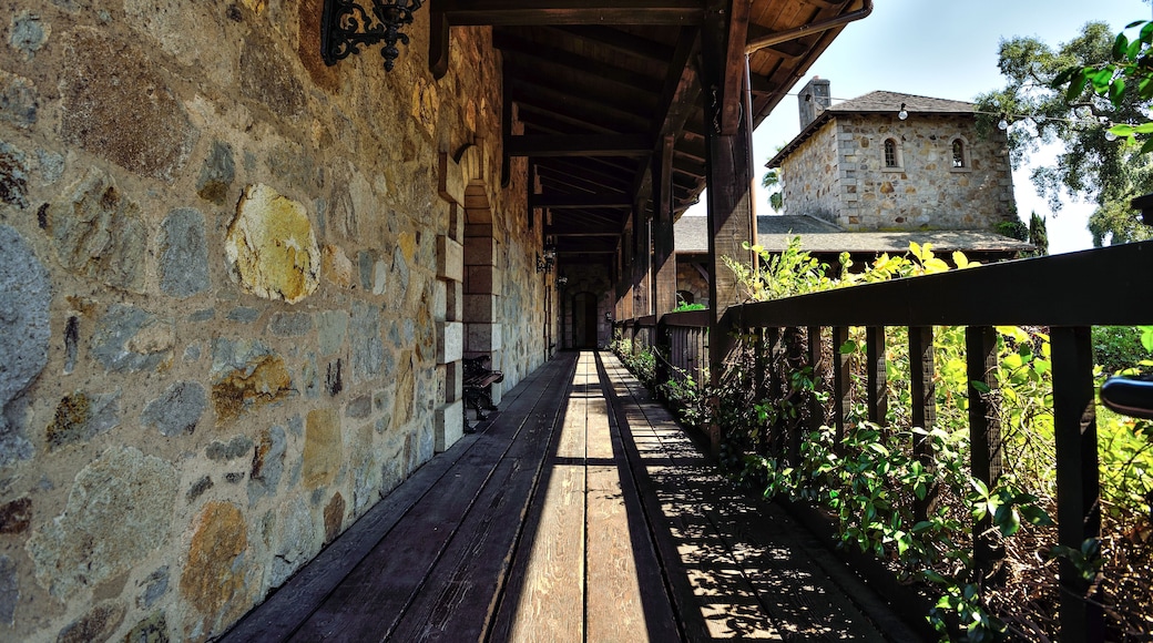 HALL St. Helena Winery