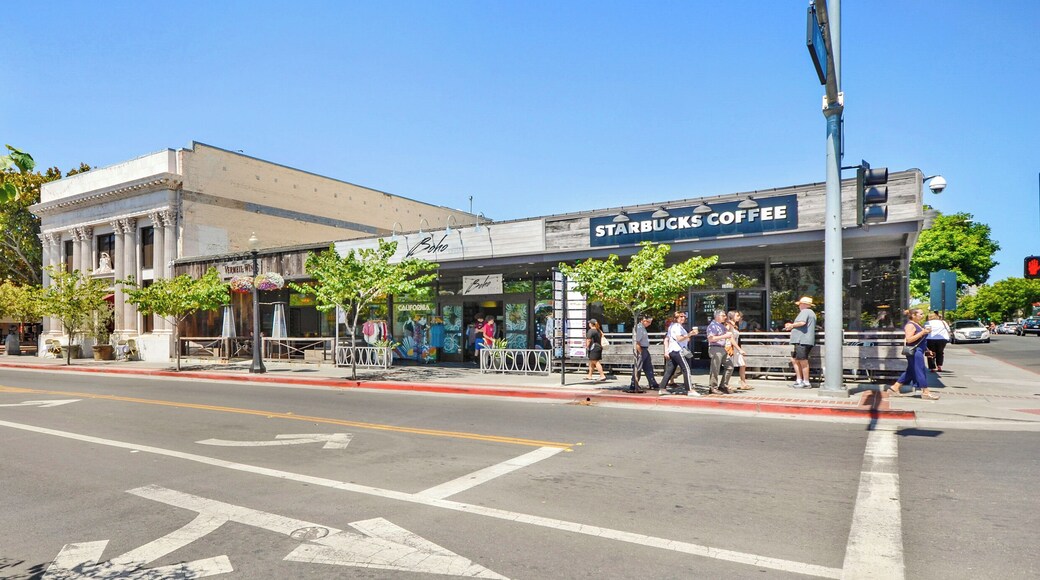 Pabrik Anggur Darioush