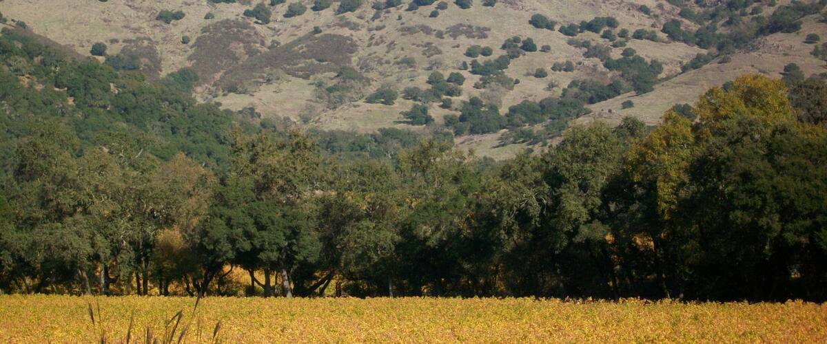 Beautiful landscape and great wine.  You can't go wrong visiting this winery.