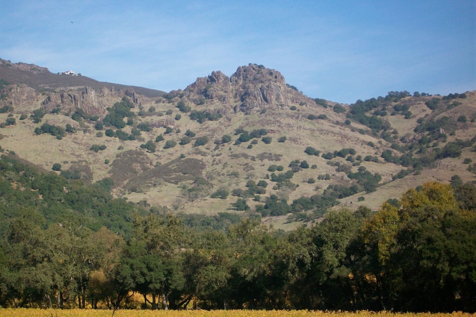 Un paysage montagneux caractérisé par un sommet rocheux imposant, de vastes zones boisées et un champ au premier plan.