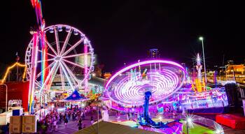 RNA Showgrounds featuring rides and night scenes