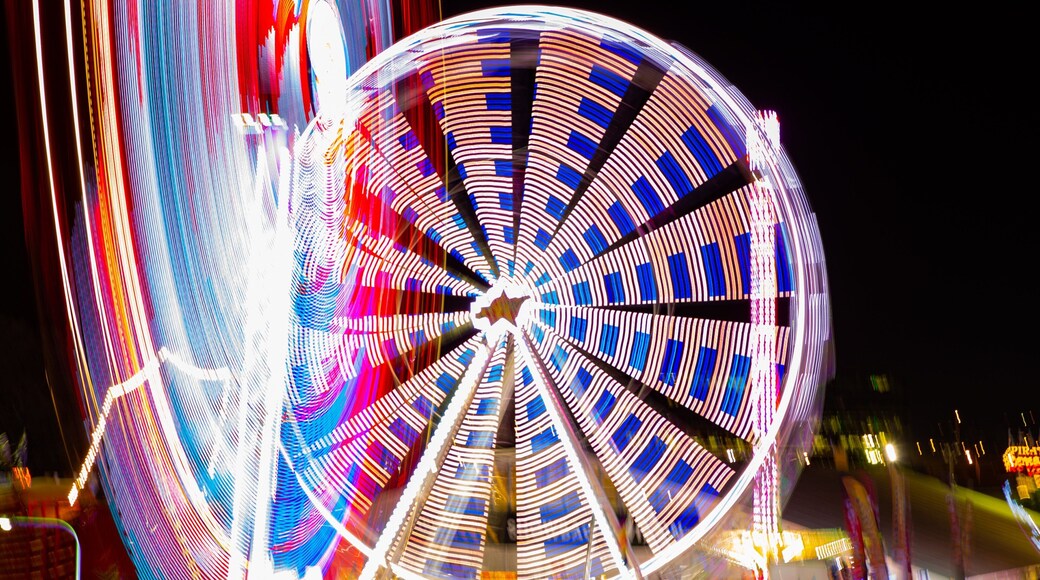 RNA Showgrounds which includes night scenes and rides