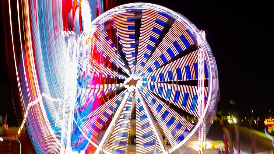 RNA Showgrounds which includes night scenes and rides