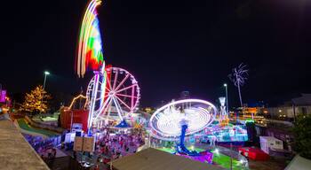 RNA Showgrounds which includes rides and night scenes