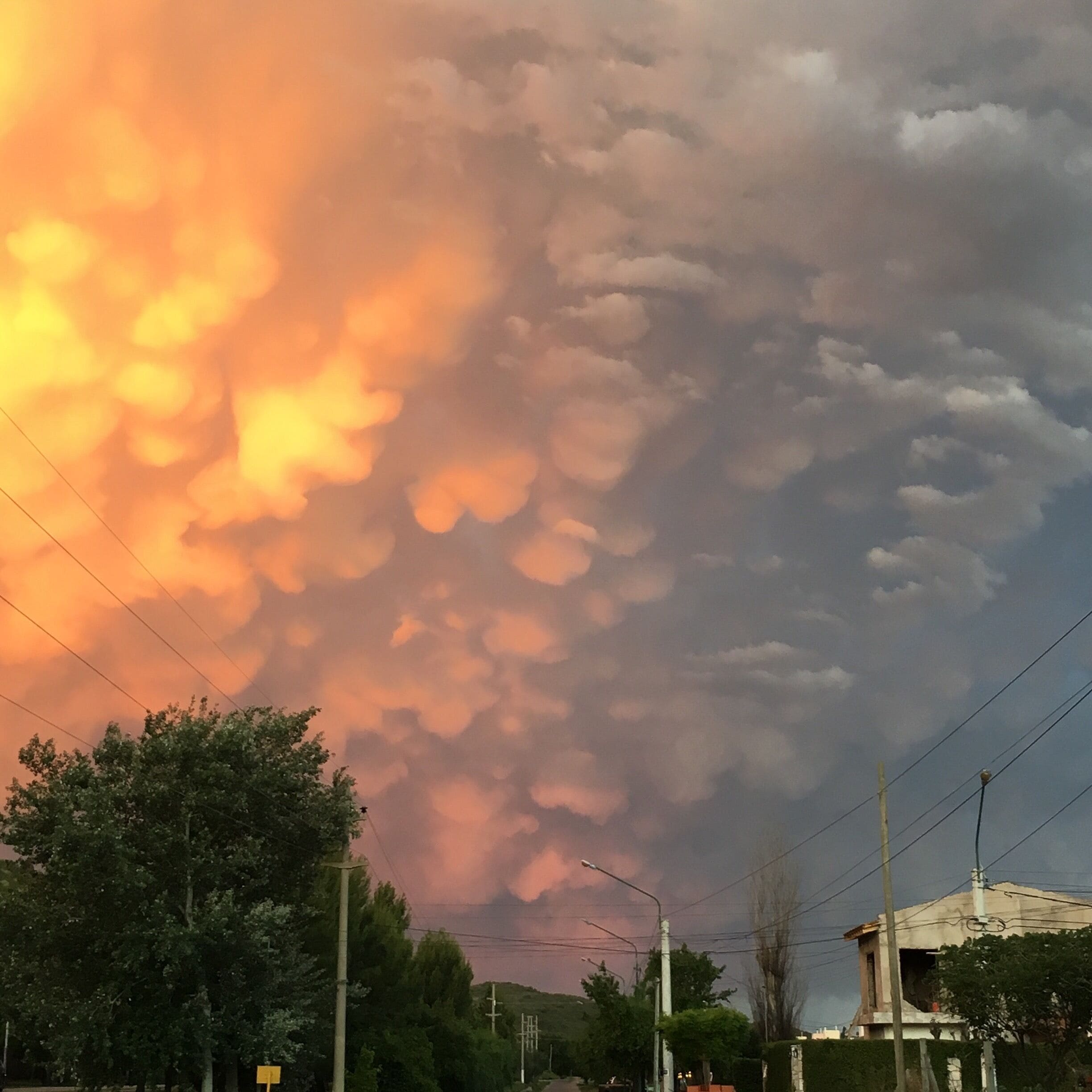 A sunset with orange clouds over a residential area with houses and trees.