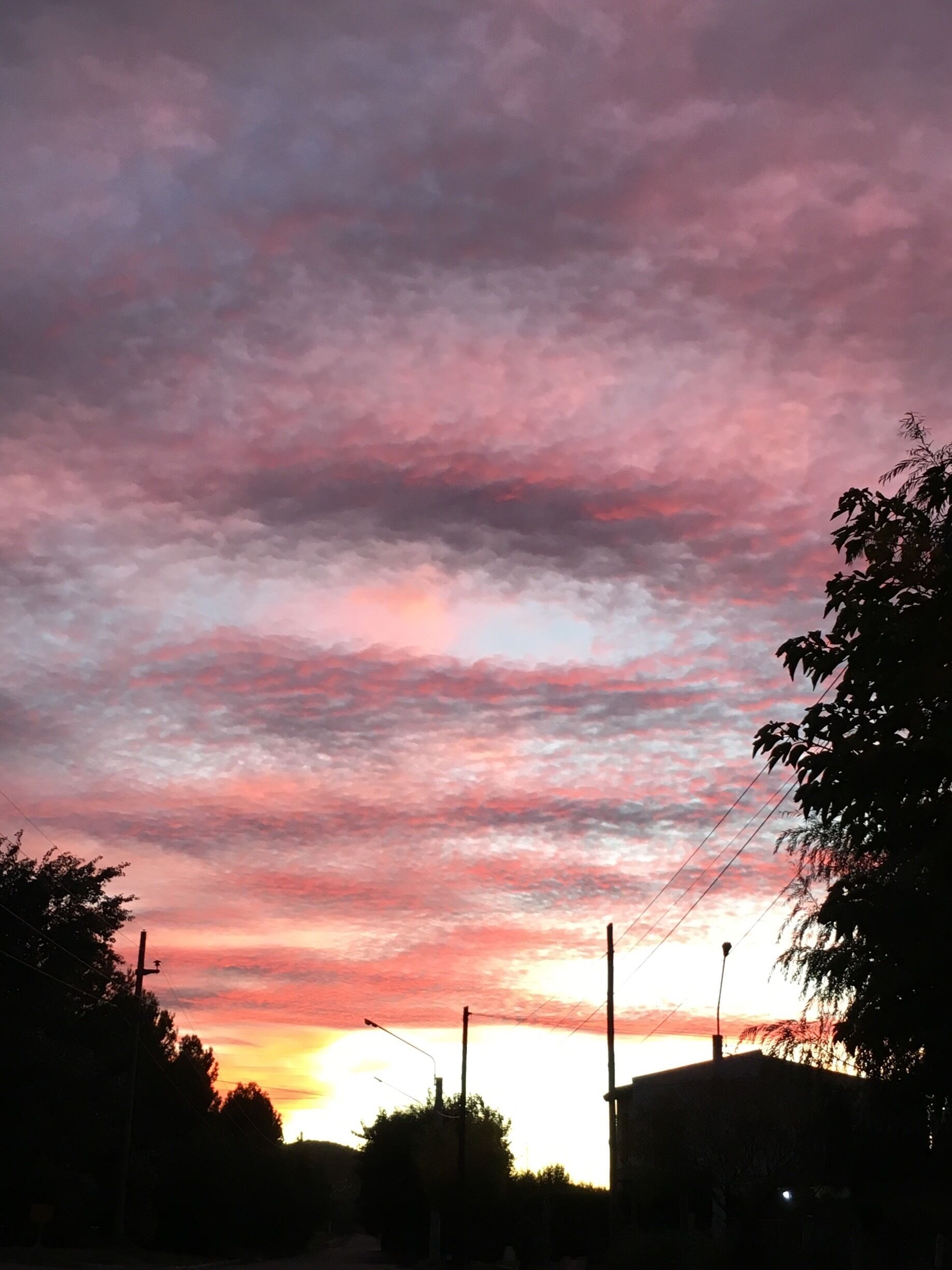 This is not a painting, it's real !!!