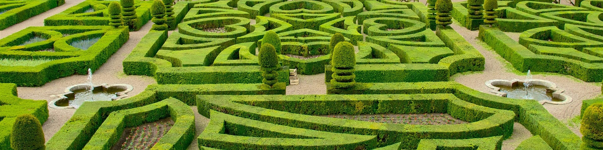 Chateaux de la Loire which includes a garden