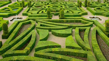 Chateaux de la Loire which includes a garden