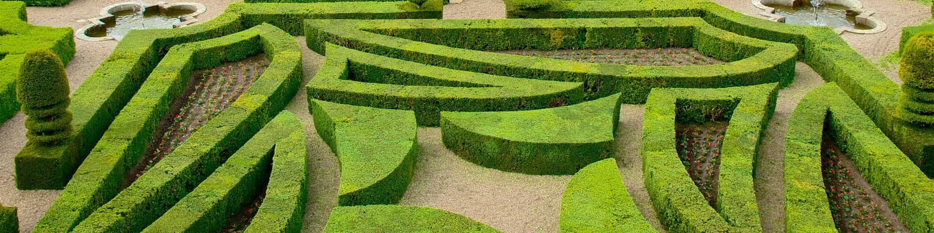 Chateaux de la Loire which includes a garden