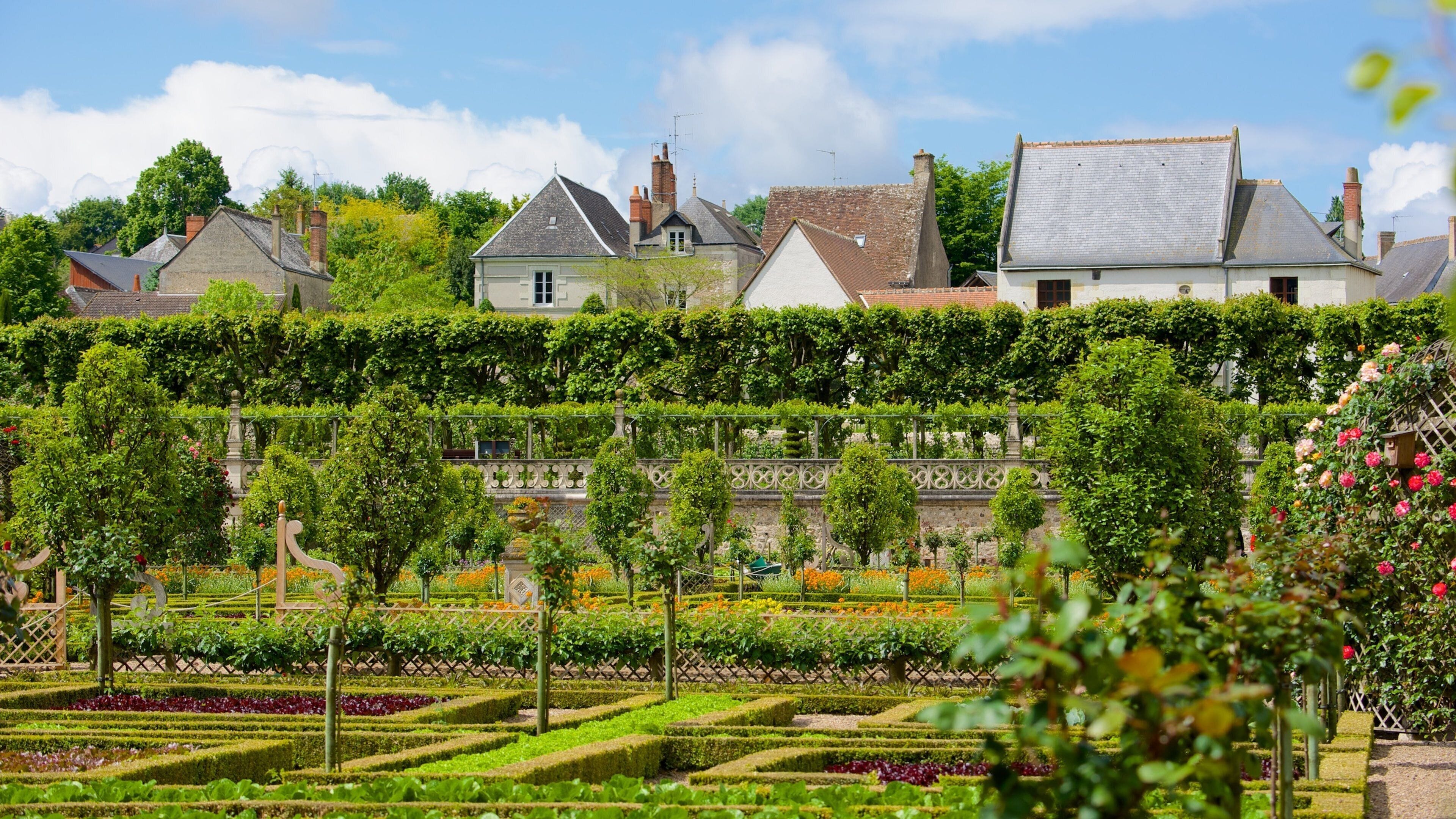 Chateaux de la Loire showing a park