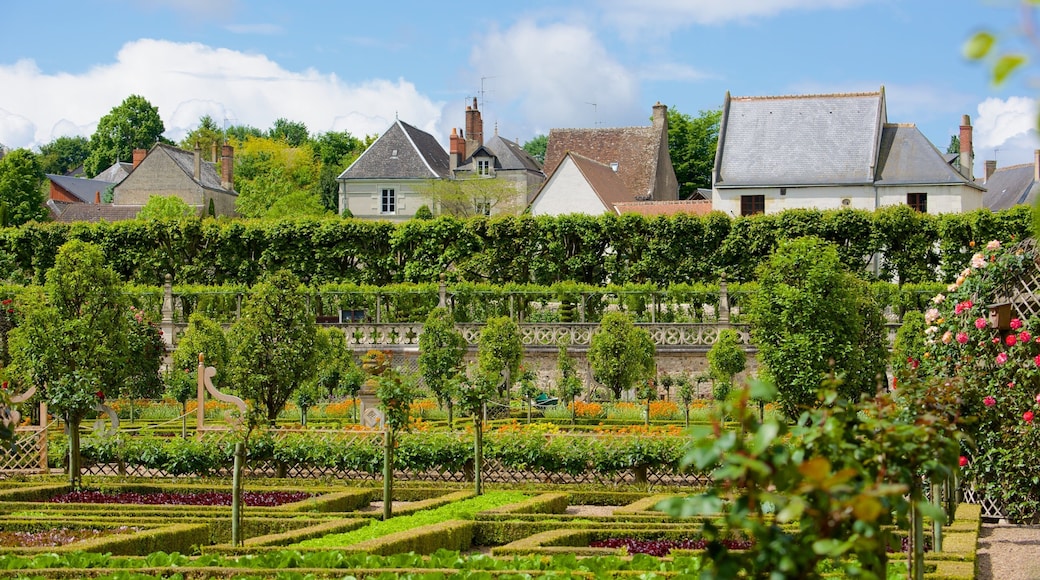 Chateaux de la Loire showing a park
