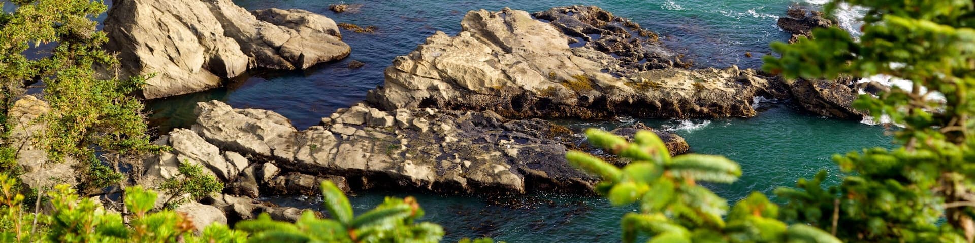 Cape Arago State Park mit einem Felsküste