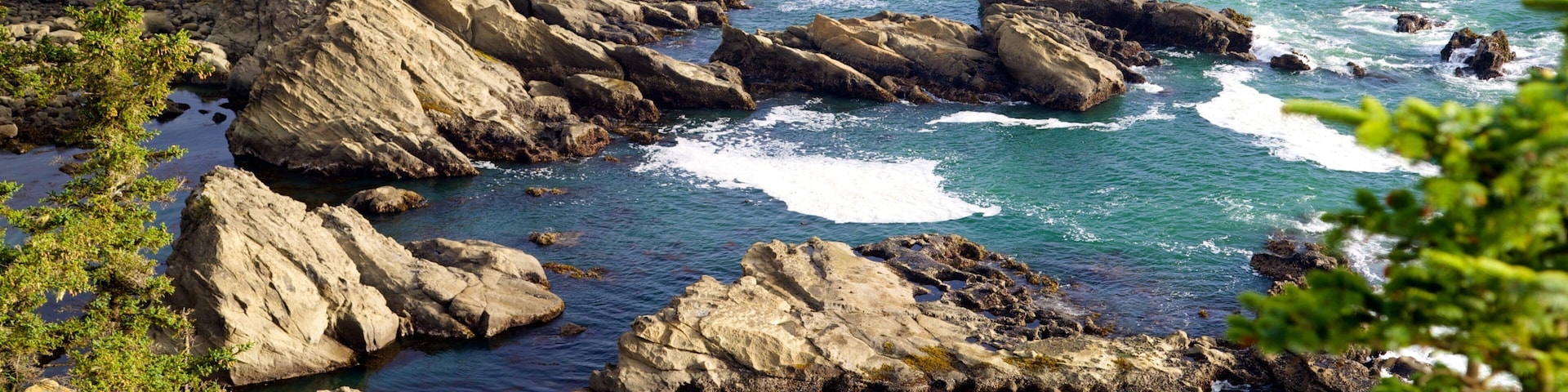 Cape Arago State Park que inclui litoral rochoso