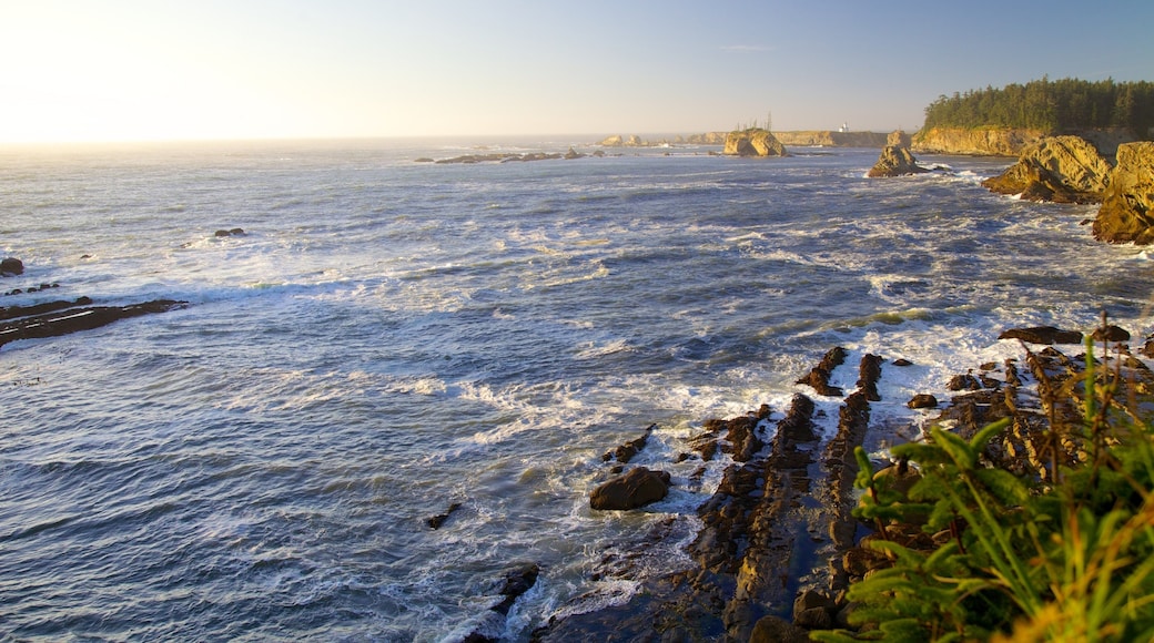 Cape Arago State Park which includes rocky coastline