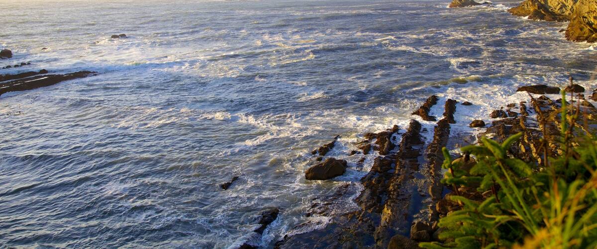 Cape Arago State Park which includes rocky coastline