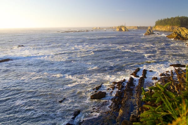 Cape Arago State Park som omfatter barsk kystlinje