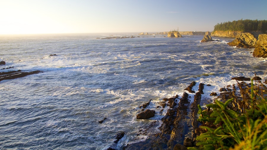 Cape Arago State Park som omfatter barsk kystlinje