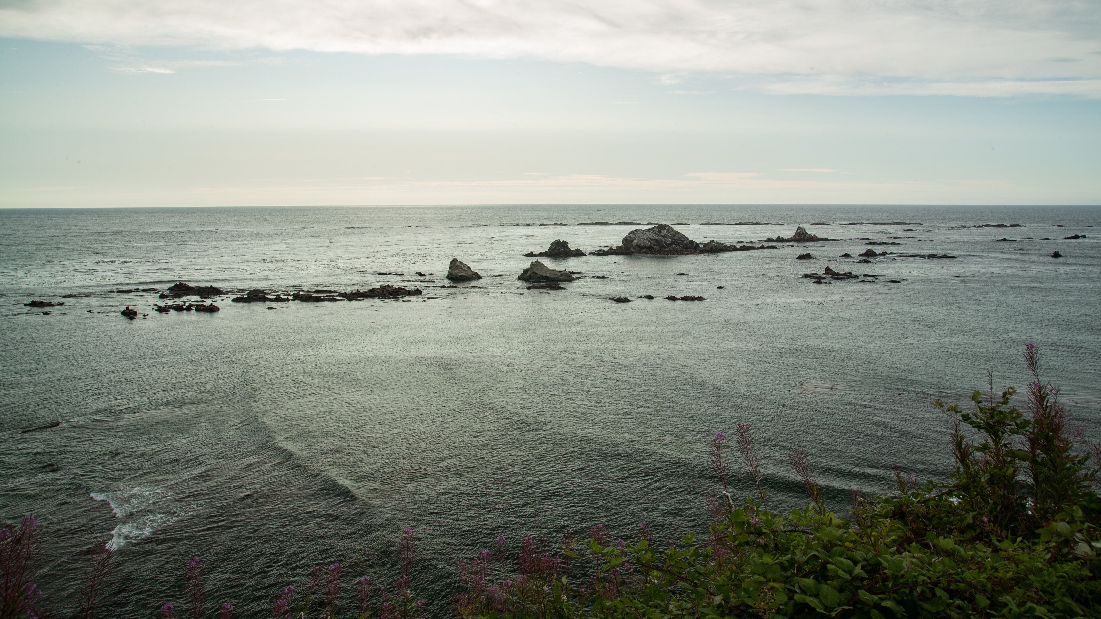 A coastal landscape with scattered rocks and calm sea.