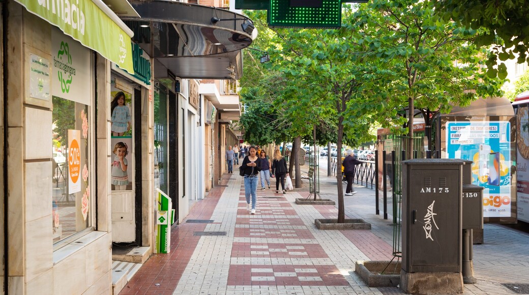 Zaidin which includes street scenes as well as an individual femail