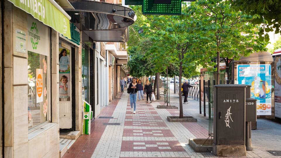 A pedestrian walkway lined with shops, trees, and a green LED sign.