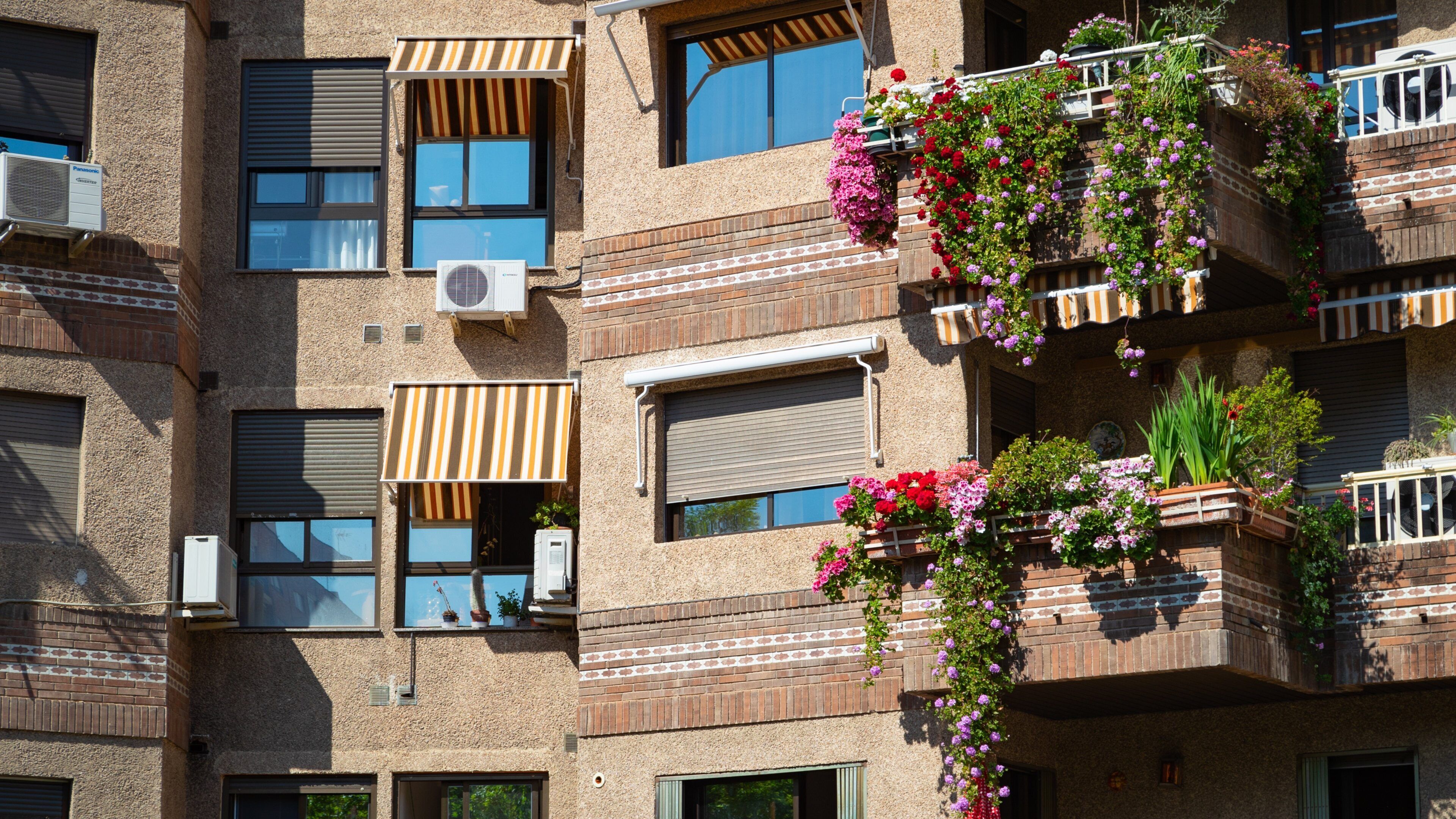 Zaidin which includes flowers