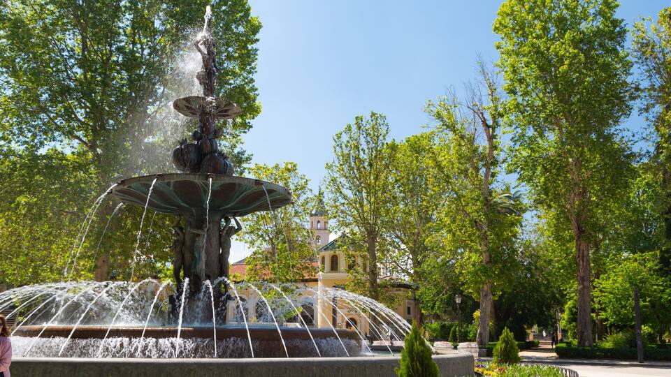 A fountain with multiple water jets, surrounded by lush green trees and a building with a tower in the background.