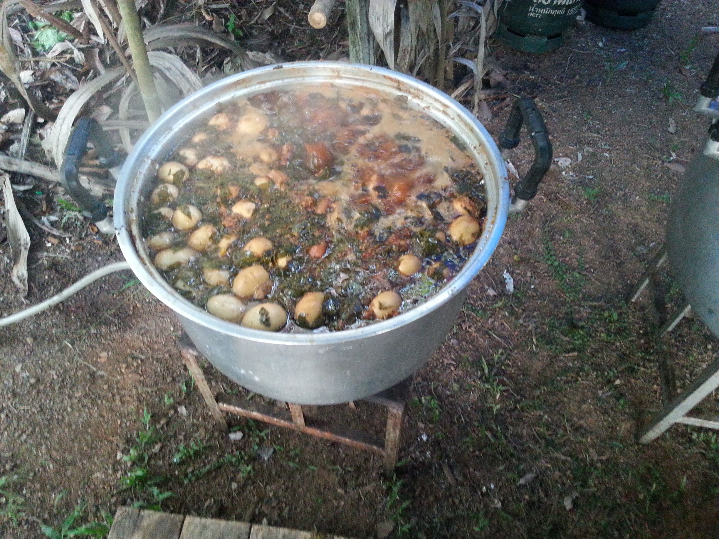 Local food from Chanthaburi  part of Thailand call 'Moo Cha Moung'   it my favorite hometown #food 