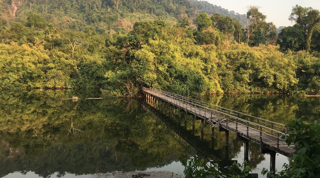 A park that i camped at Chanthaburi. Very beautiful in the morning and evening.