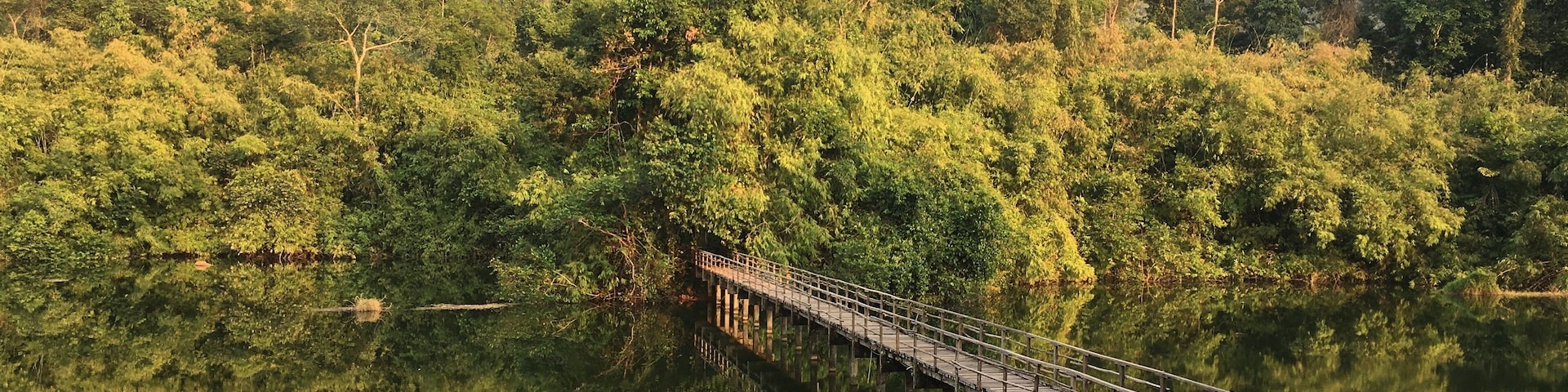 A park that i camped at Chanthaburi. Very beautiful in the morning and evening.