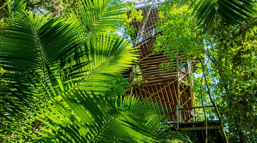Daintree Discovery Centre