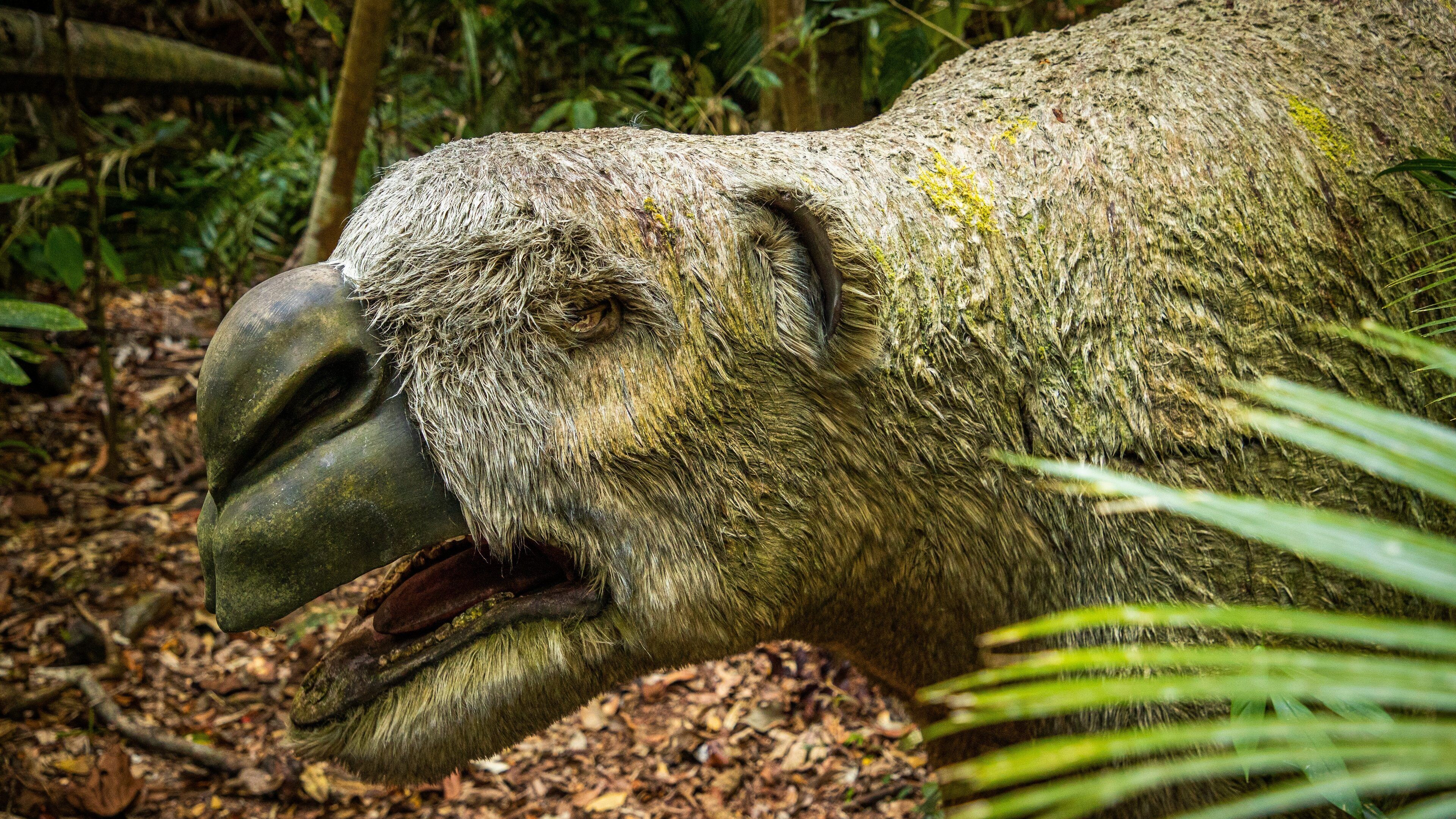 Daintree Discovery Centre