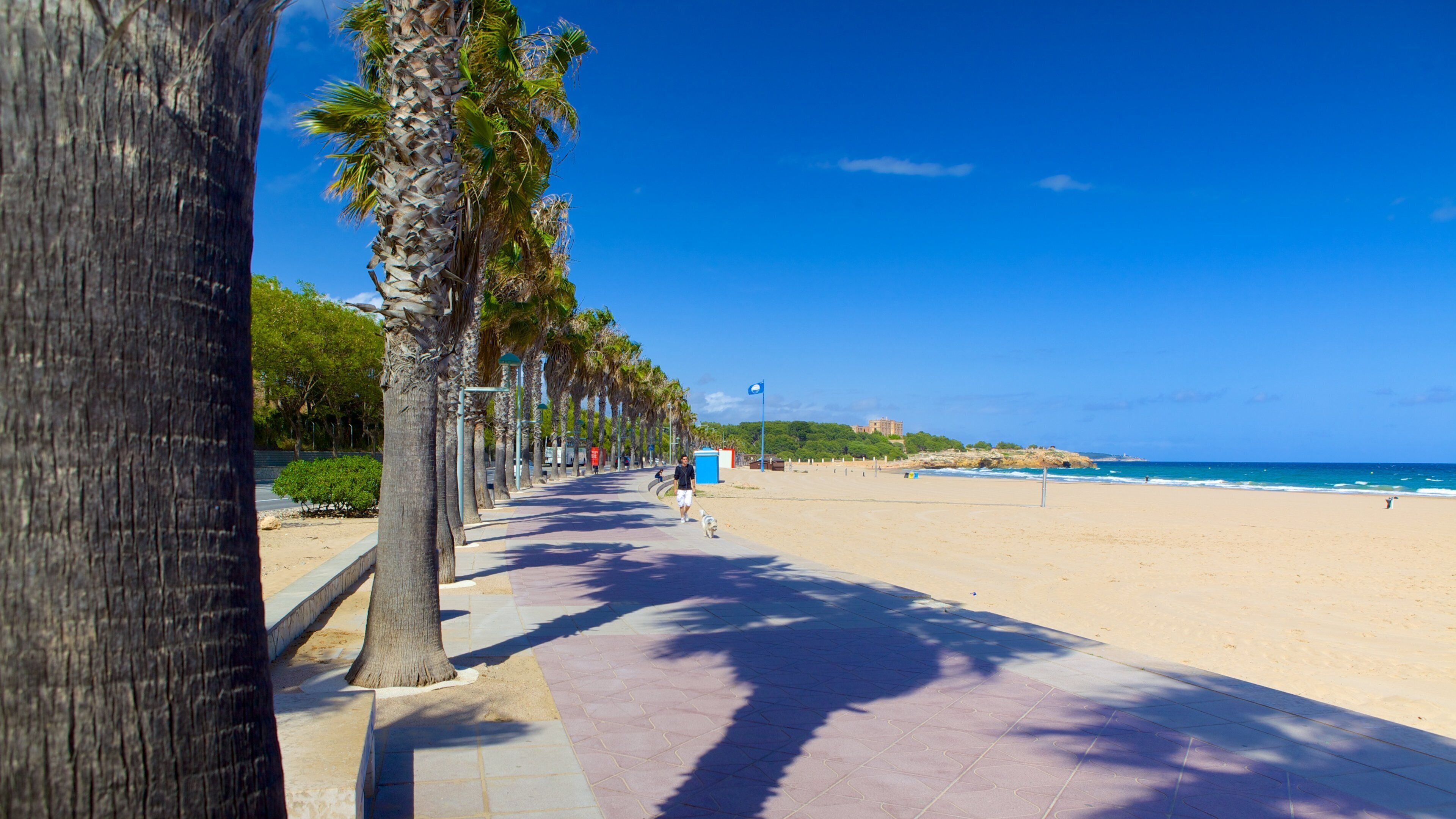 L\'Arrabassadas strand presenterar en strand och tropisk natur