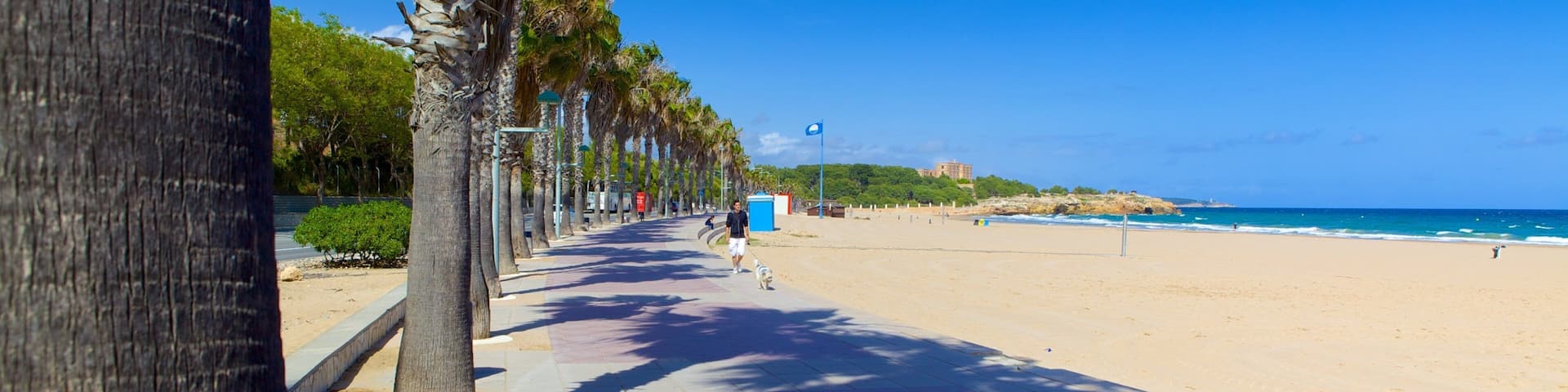 L\'Arrabassada Beach which includes a beach and tropical scenes