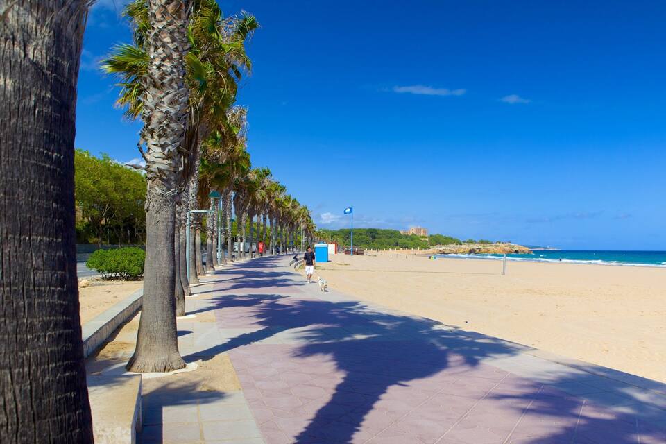 A beach with a palm tree-lined promenade, a clear blue sky, and the ocean in the distance.