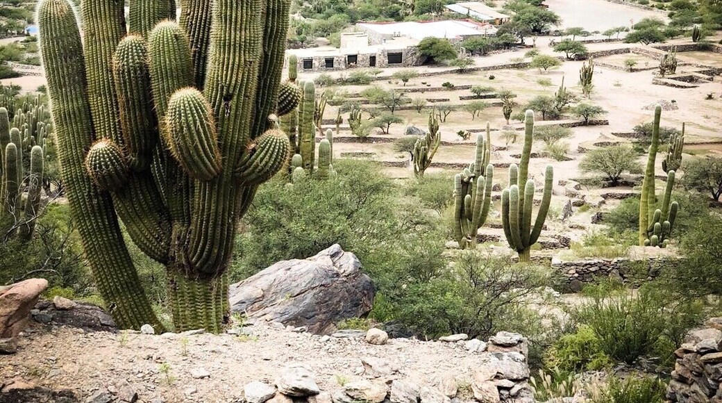 Birds eye view of the ruin from the Northern lookout point