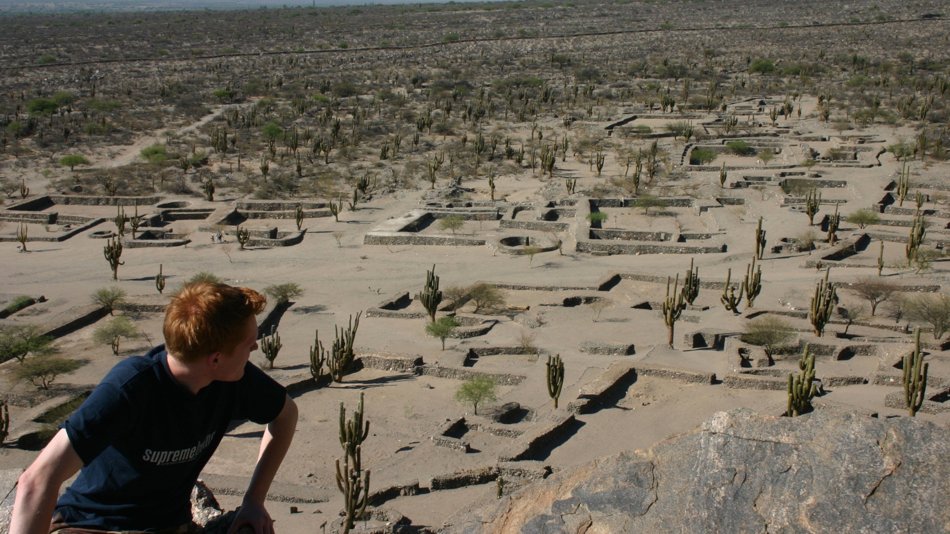 Tucuman showing desert views and a ruin as well as an individual male