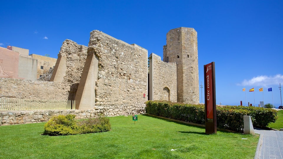 Ancient stone ruins with a tall tower, a green lawn, and flags.