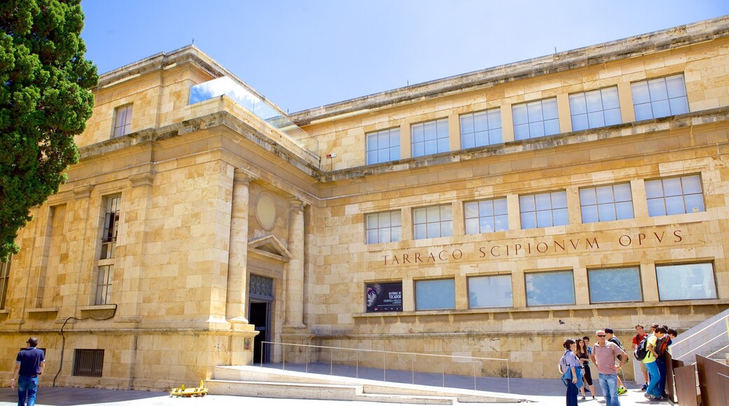 National Archaeological Museum of Tarragona showing street scenes as well as a large group of people