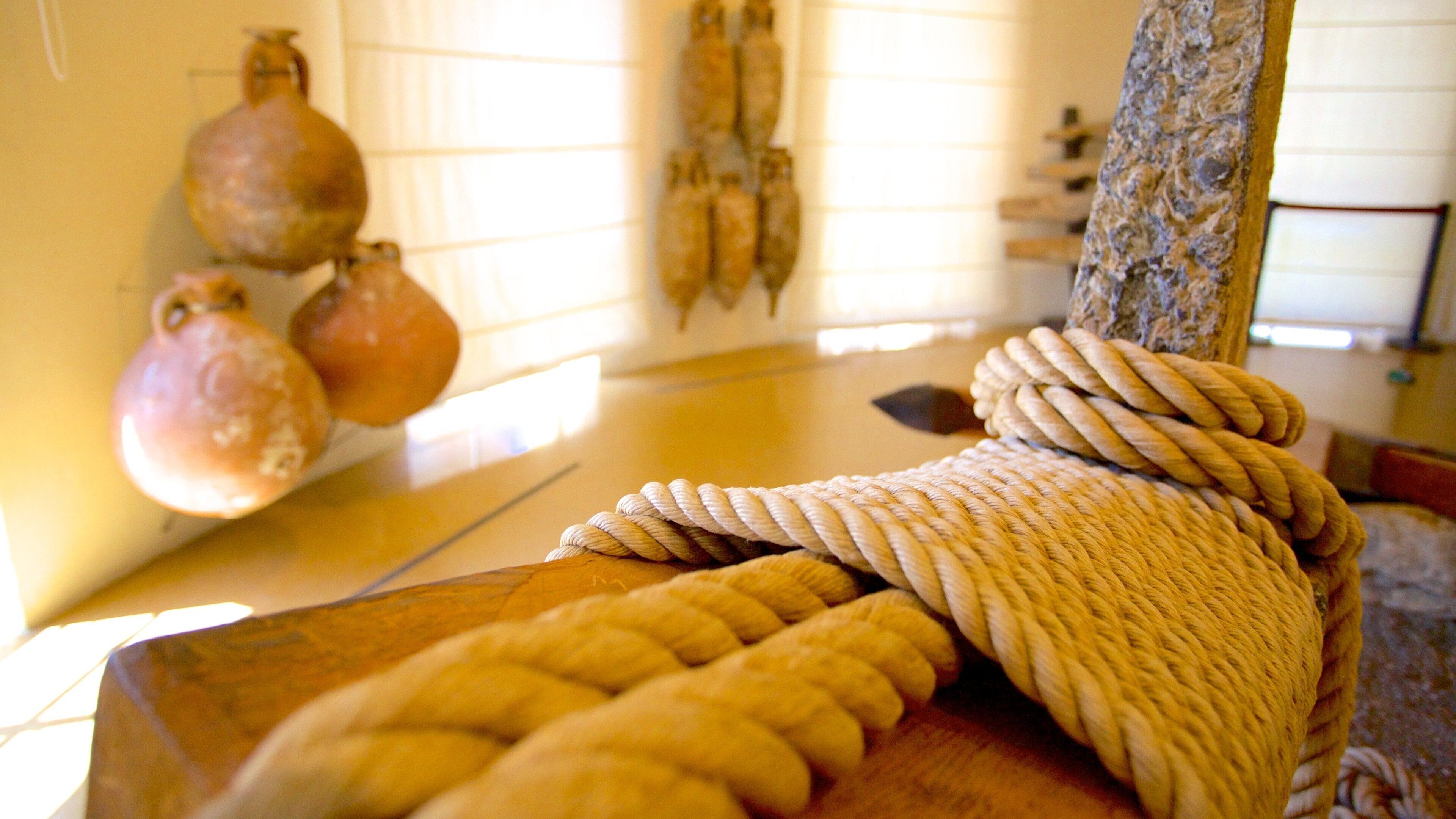 National Archaeological Museum of Tarragona featuring interior views