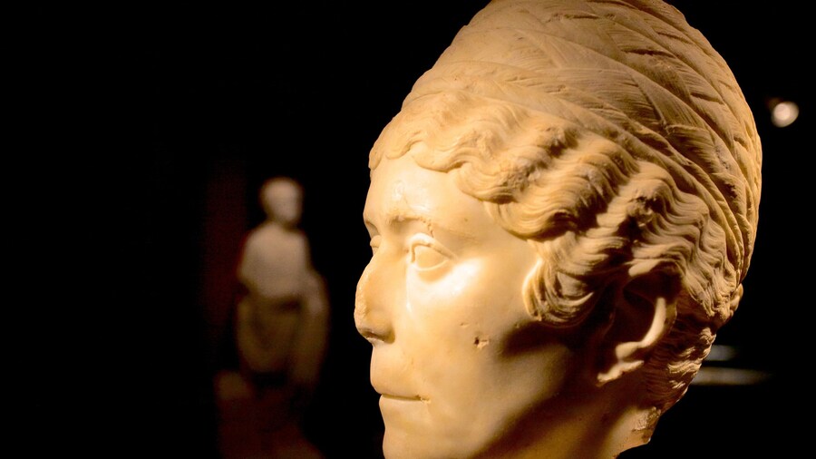 Museo Nacional Arqueológico de Tarragona mostrando vistas interiores y una estatua o escultura