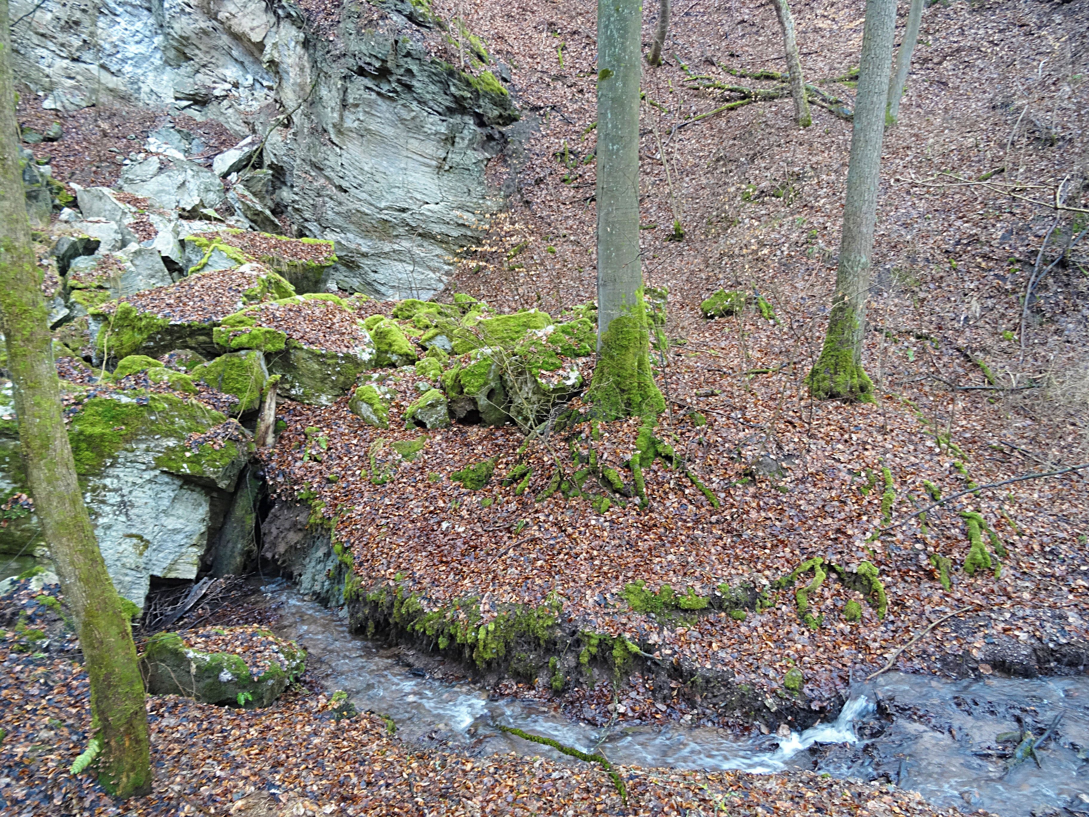 das Schluckloch des Dinsterbaches