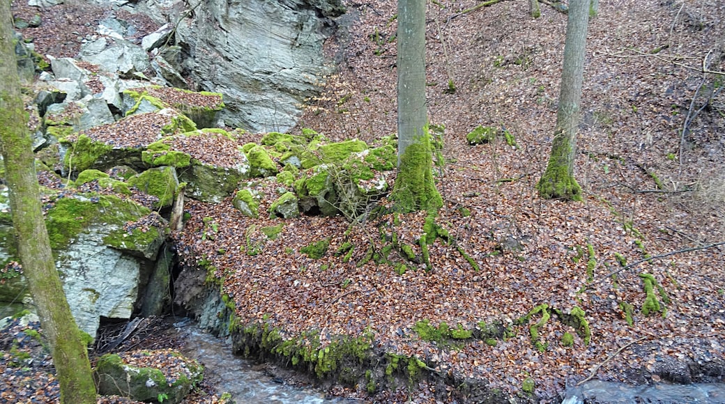 das Schluckloch des Dinsterbaches