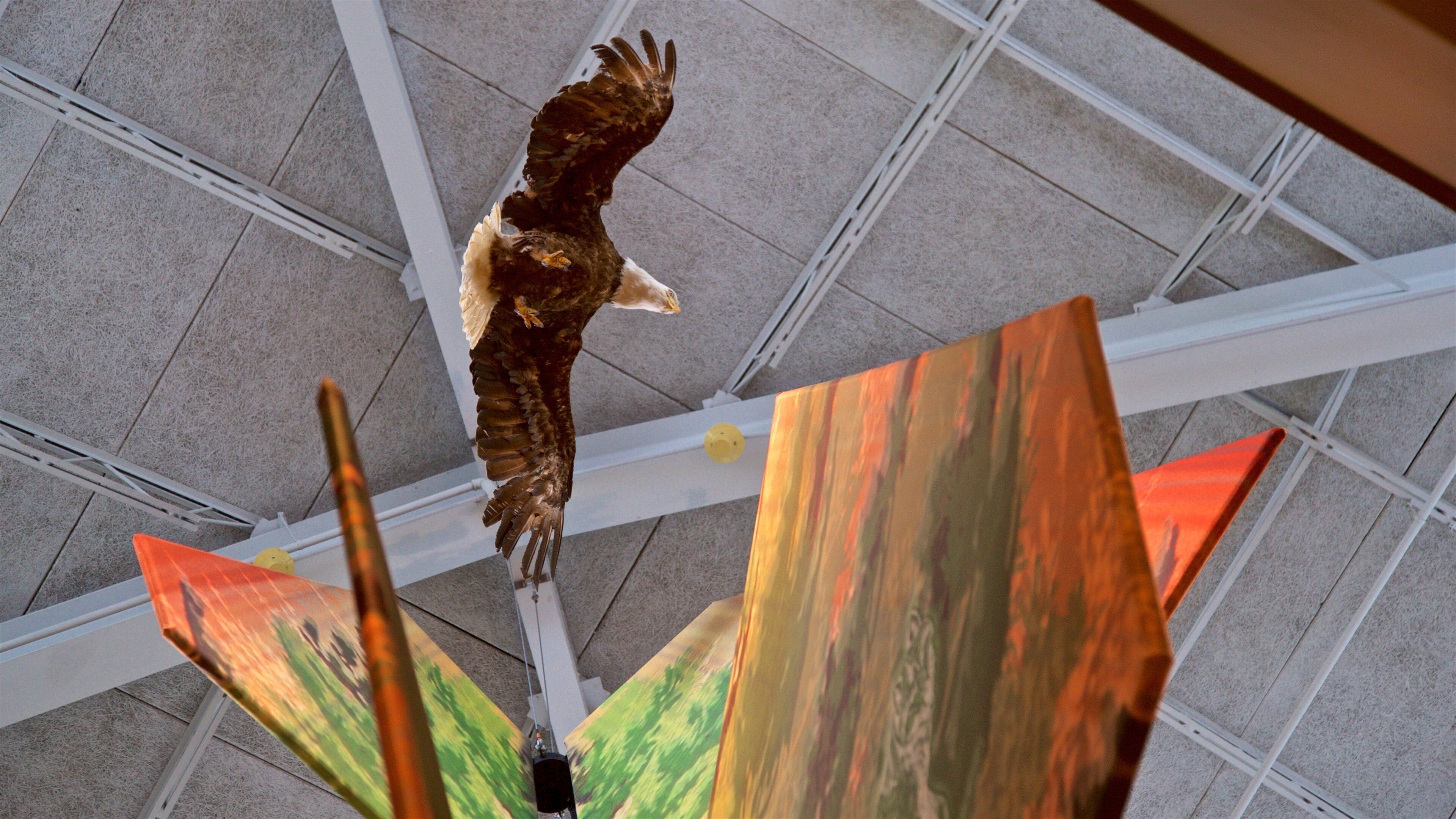 Sainte Marie among the Iroquois showing art and interior views