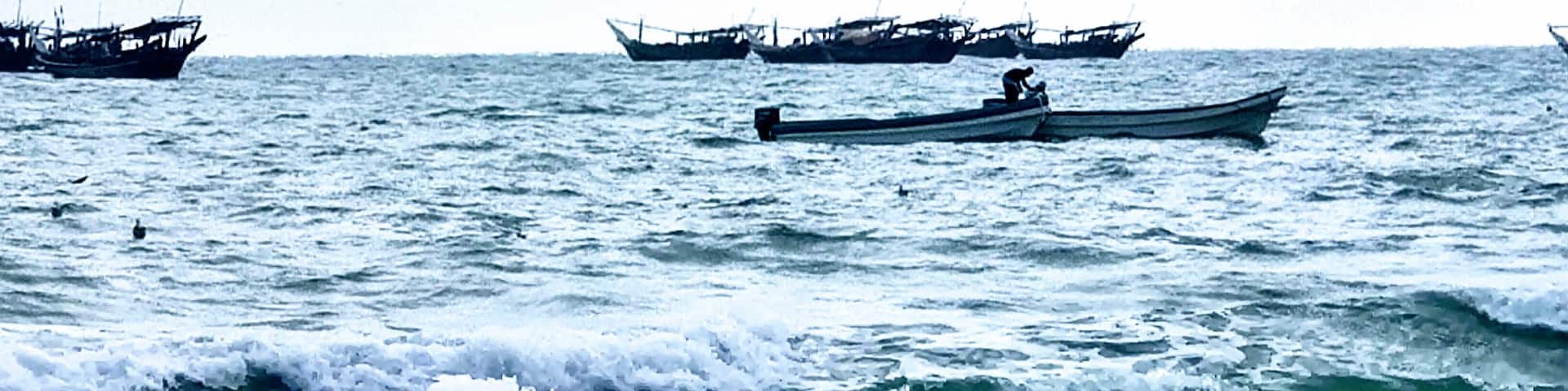 Blue Sea...and the activity of Life