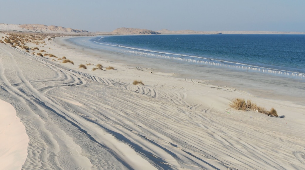 Paisaje desértico con dunas de arena y una playa.