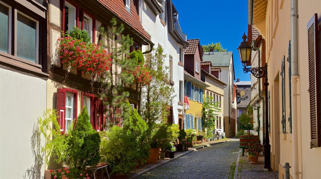 Hoechst showing flowers