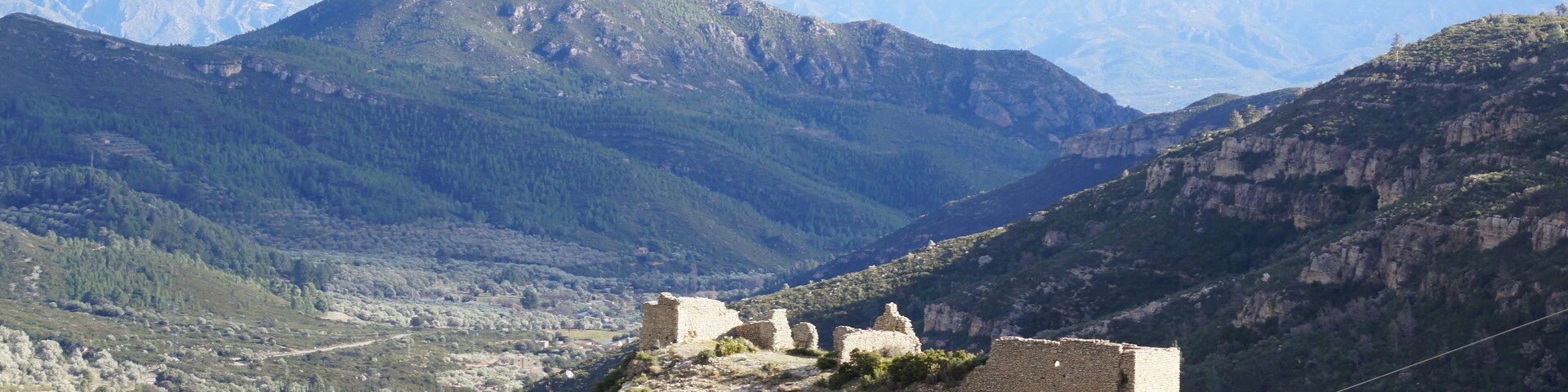 Castell de Carles (Alfara de Carles)