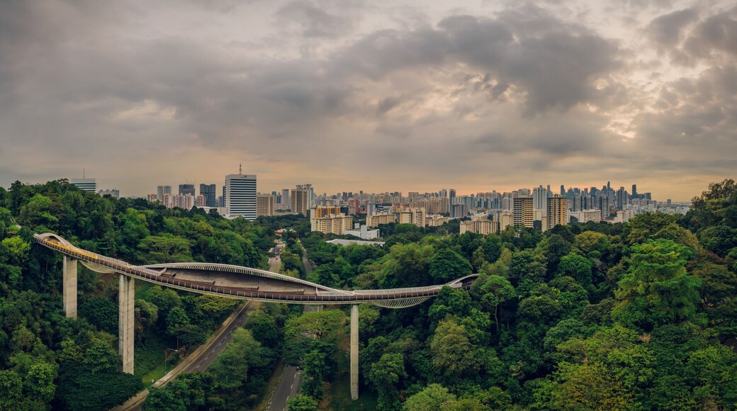 Apr 09/2019 Early morning at Henderson Waves bridge - aerial view, Singapore