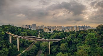 Apr 09/2019 Early morning at Henderson Waves bridge - aerial view, Singapore