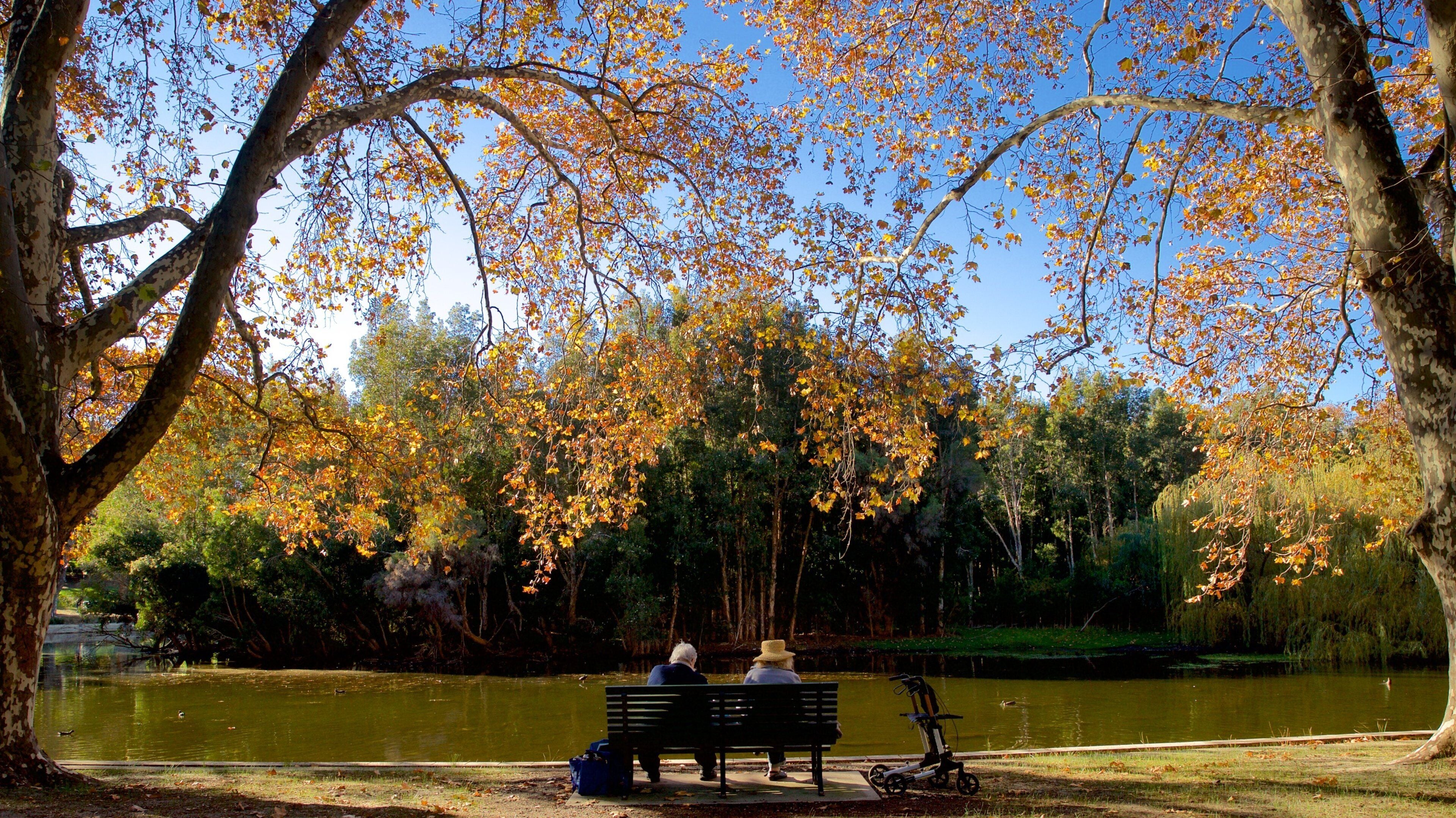 Ein Park mit einem See, zwei Personen auf einer Bank und Herbstlaub an den Bäumen.